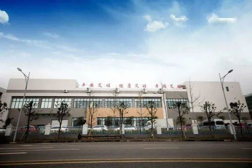 大數(shù)據(jù)驅動智慧升級，重慶高新區(qū)信息咨詢服務企業(yè)引領智造新篇章