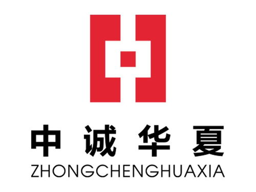 中誠華夏信息咨詢集團在重慶的發展與信息咨詢服務探析