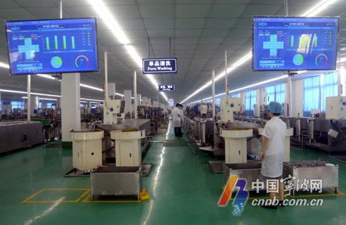 一線技改參謀 以數(shù)字技術(shù)服務(wù)，助企插上騰飛翅膀