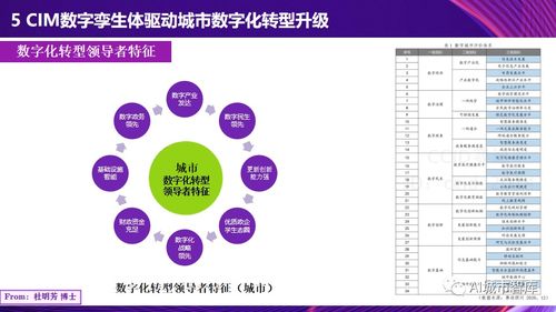 數(shù)字孿生城市 數(shù)字技術(shù)服務(wù)城市治理的理論與實踐